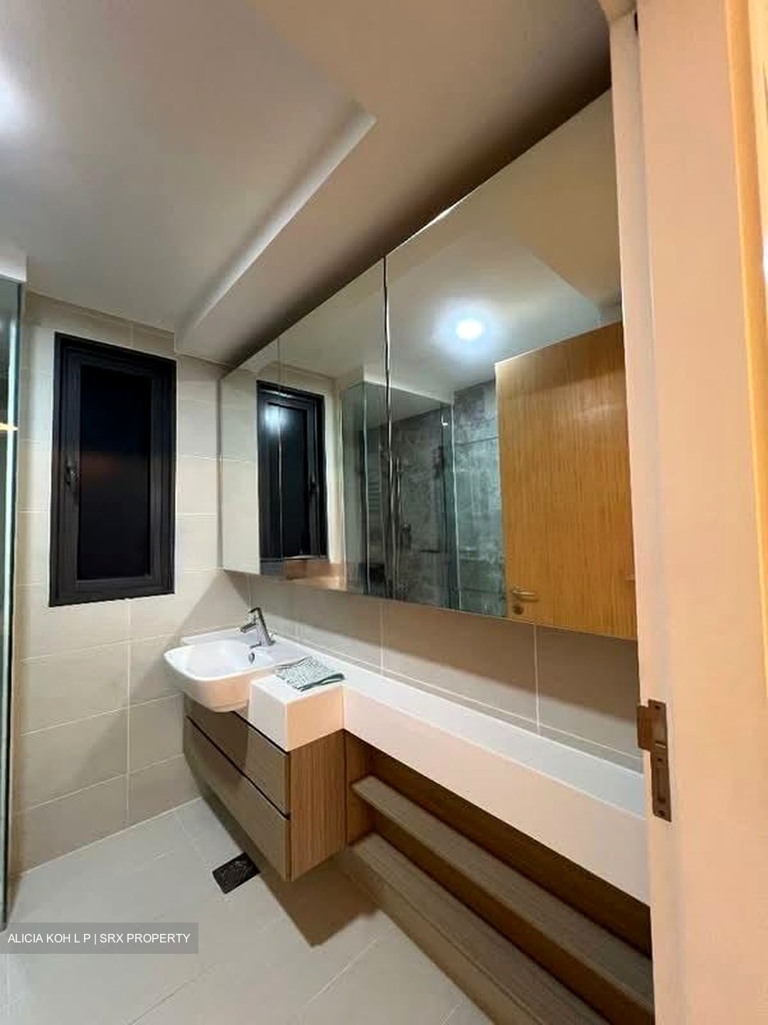 The Lakefront Residences (D22), Condominium #534282781